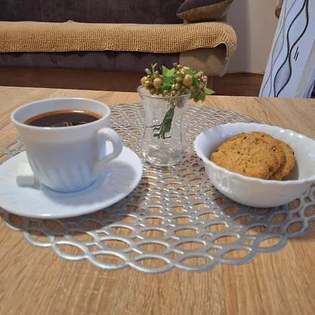 Adzic Centar Apartment