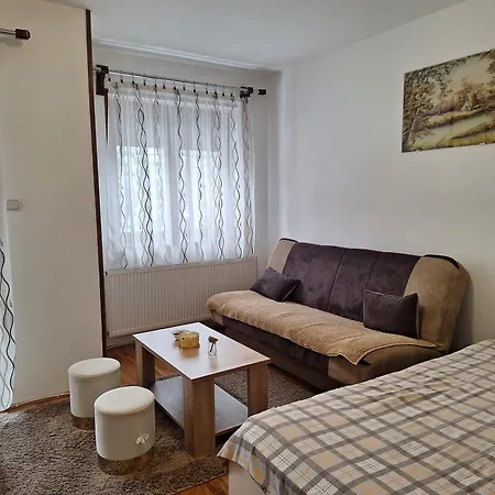 Apartment Adzic Centar *