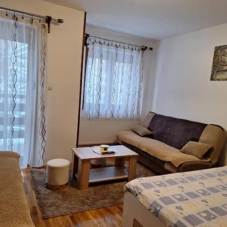 Adzic Centar Apartment Zlatibor