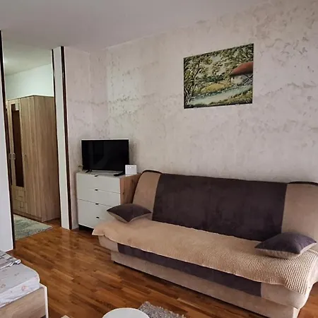 Apartment Adzic Centar