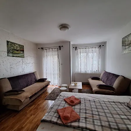 Apartment Adzic Centar *