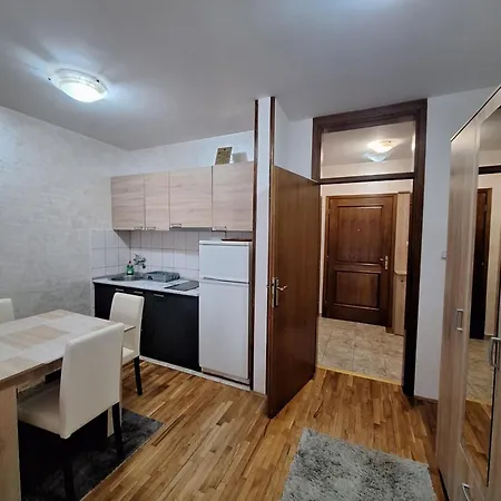 Adzic Centar Apartment *