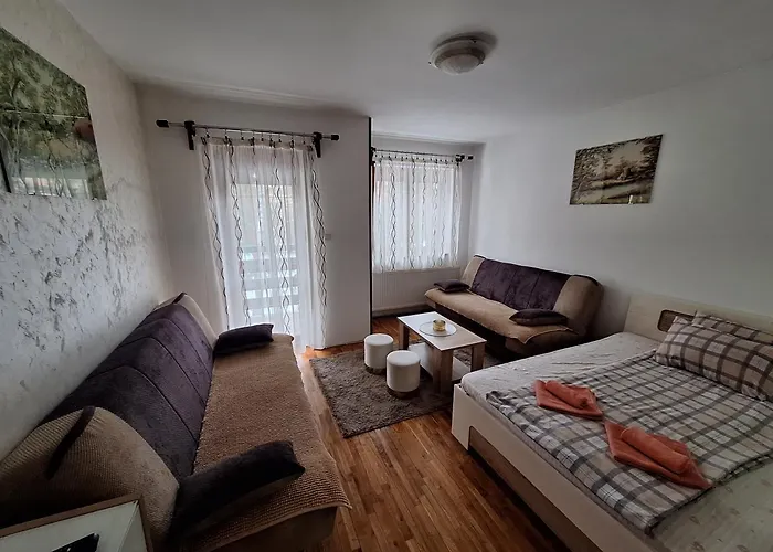 Adzic Centar Zlatibor