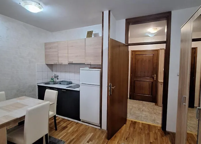 Adzic Centar Appartamento *